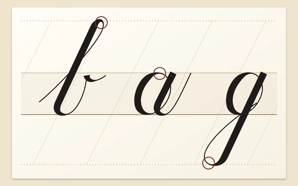 Four horizontal guidelines with the script letters b, a and g showing which parts reach each line