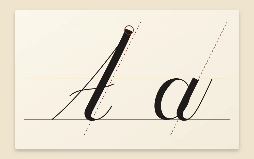 The capital letter A beside the lowercase letter a on the same guidelines, with the capital reaching the top line and both leaning at the same slant